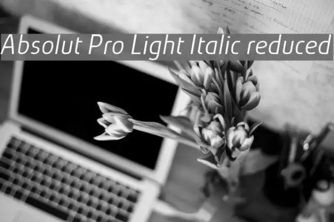 Absolut Pro Light Italic reduced Example 1