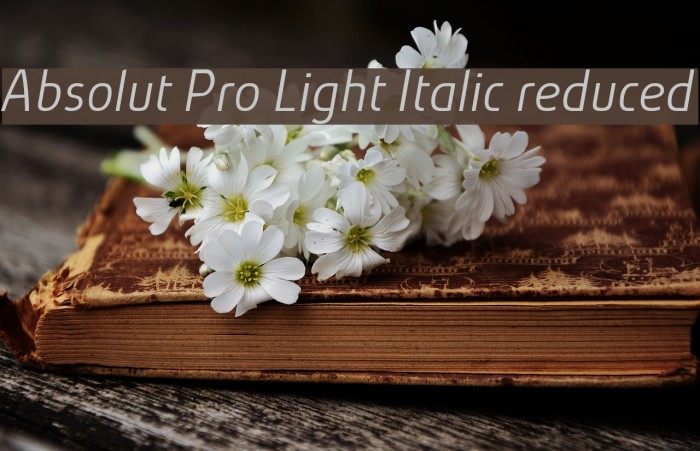 Absolut Pro Light Italic reduced Font examples