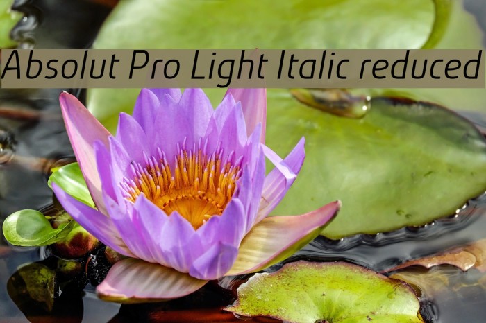 Absolut Pro Light Italic reduced Font examples