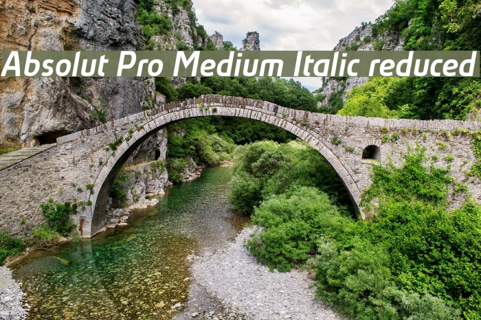 Absolut Pro Medium Italic reduced Font examples