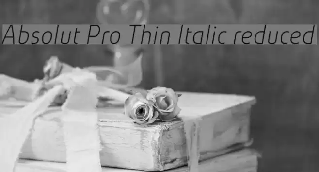 Absolut Pro Thin Italic reduced Font examples