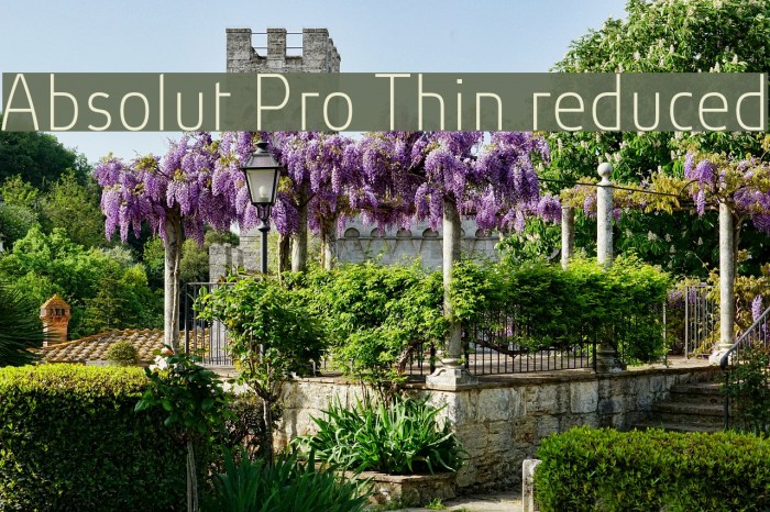 Absolut Pro Thin reduced Font examples