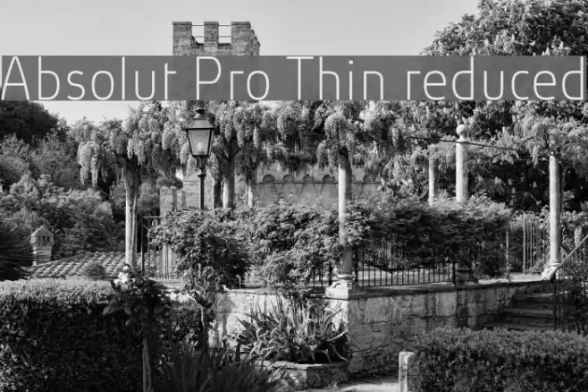 Absolut Pro Thin reduced examples