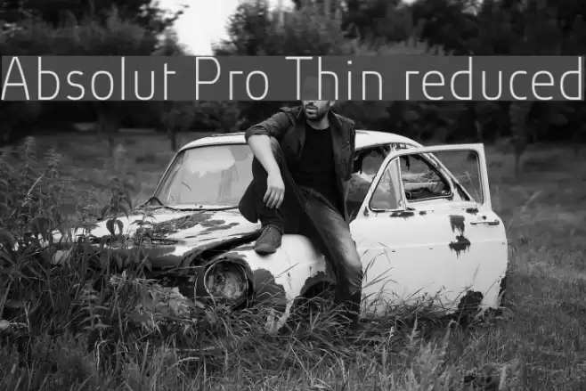 Absolut Pro Thin reduced examples