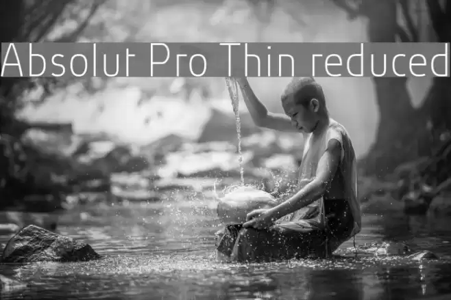 Absolut Pro Thin reduced examples