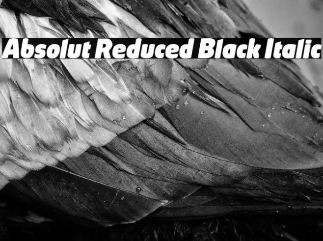 Absolut Reduced Black Italic Example 2