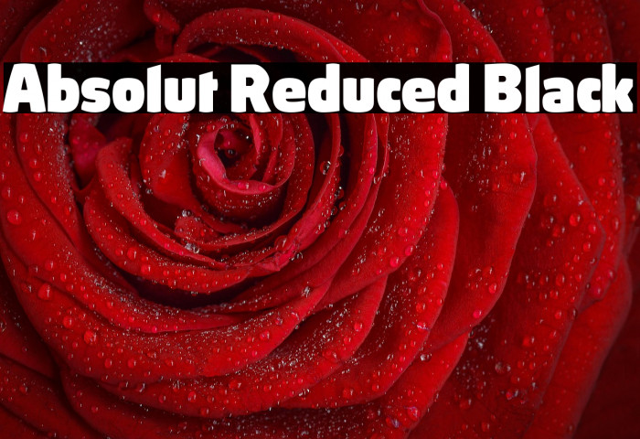 Absolut Reduced Black Example 2