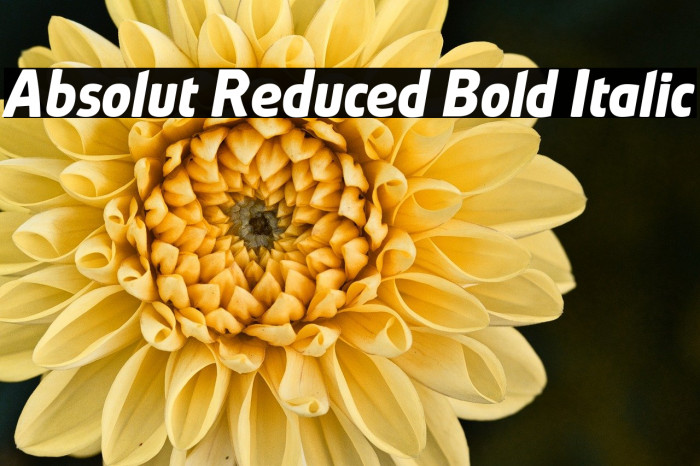 Absolut Reduced Bold Italic Example 1