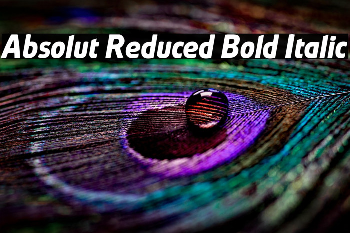 Absolut Reduced Bold Italic Example 3