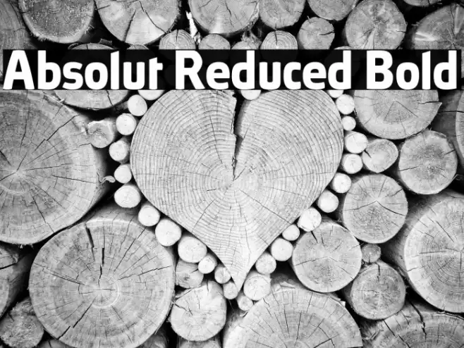 Absolut Reduced Bold Font examples