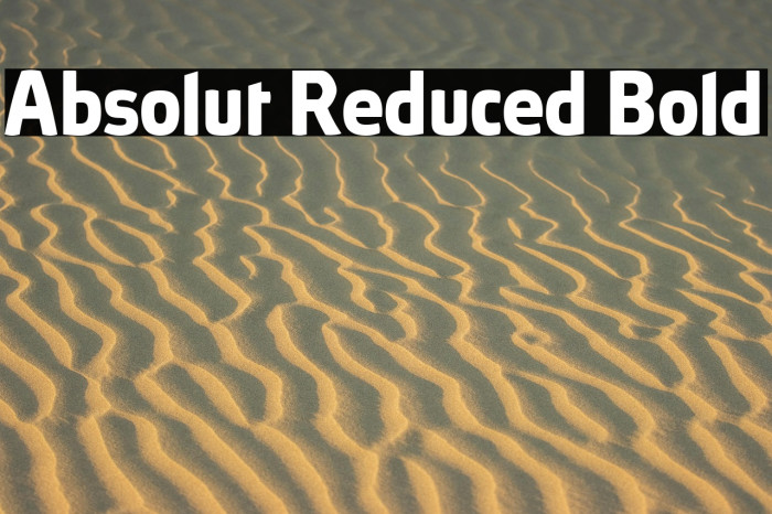 Absolut Reduced Bold Example 2