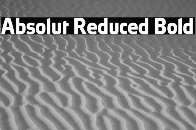 Absolut Reduced Bold Font examples