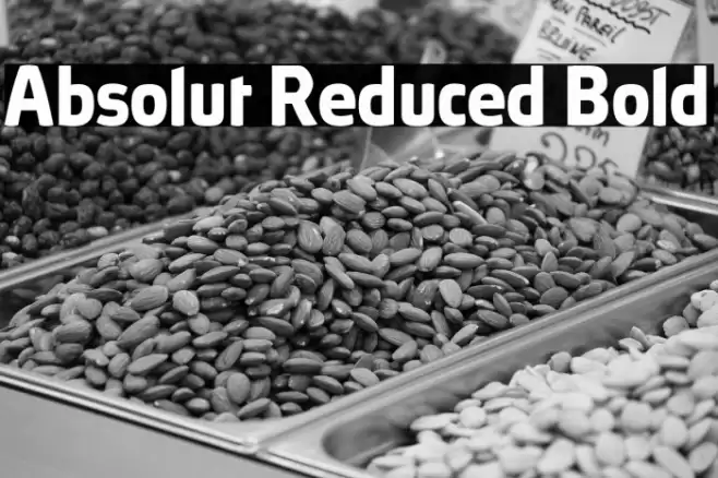 Absolut Reduced Bold Font examples