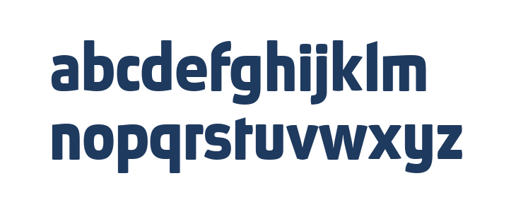 Absolut Reduced Bold Lowercase