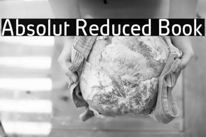 Absolut Reduced Book Шрифта examples