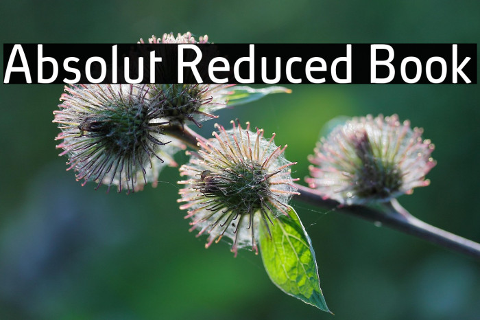 Absolut Reduced Book Example 2