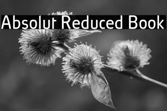 Absolut Reduced Book Шрифта examples