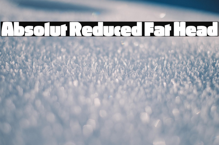 Absolut Reduced Fat Head Example 1