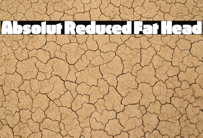 Absolut Reduced Fat Head Example 2