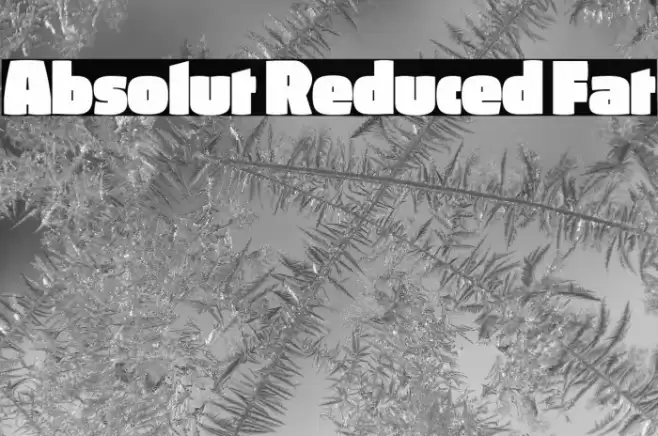 Absolut Reduced Fat Font examples