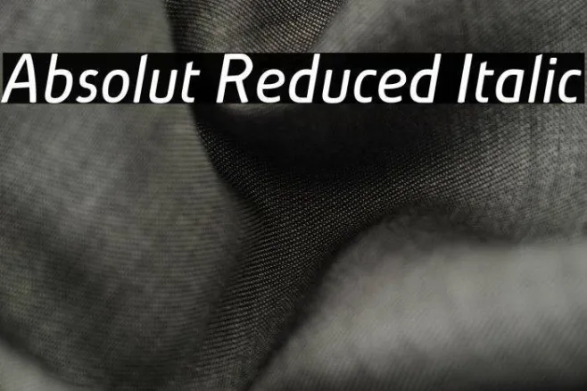Absolut Reduced Italic Example 1