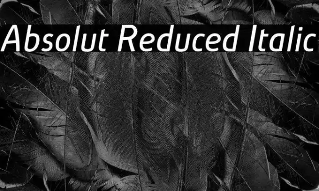 Absolut Reduced Italic Example 2