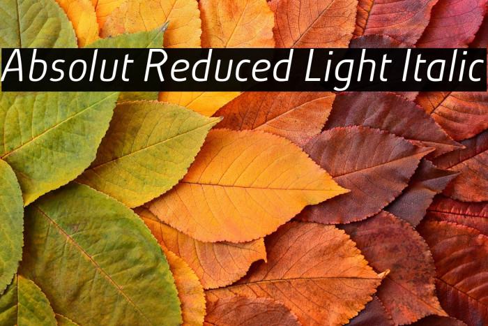 Absolut Reduced Light Italic Example 3
