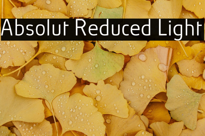 Absolut Reduced Light Example 3