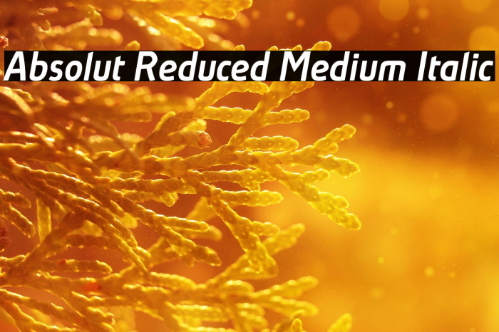 Absolut Reduced Medium Italic Example 1