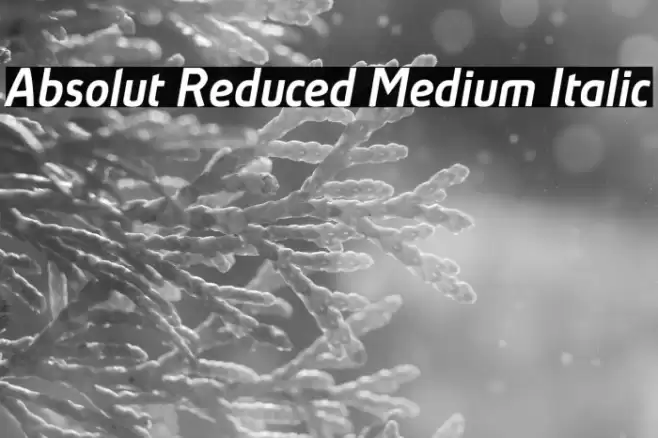 Absolut Reduced Medium Italic Font examples