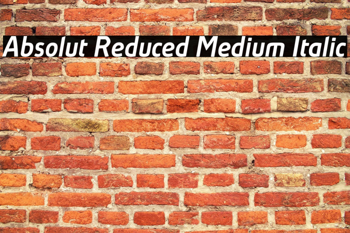 Absolut Reduced Medium Italic Example 2