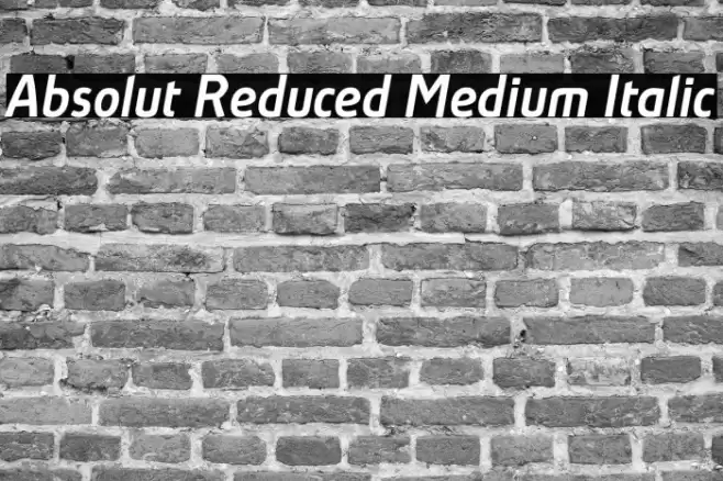 Absolut Reduced Medium Italic Font examples