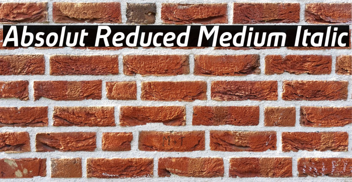 Absolut Reduced Medium Italic Example 3
