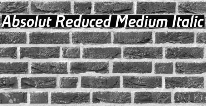 Absolut Reduced Medium Italic Font examples
