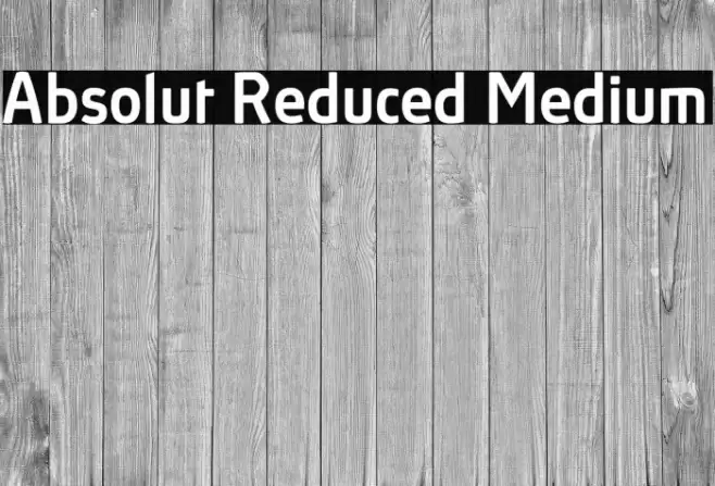 Absolut Reduced Medium Font examples