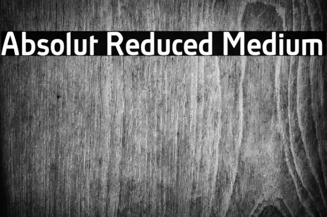 Absolut Reduced Medium Font examples