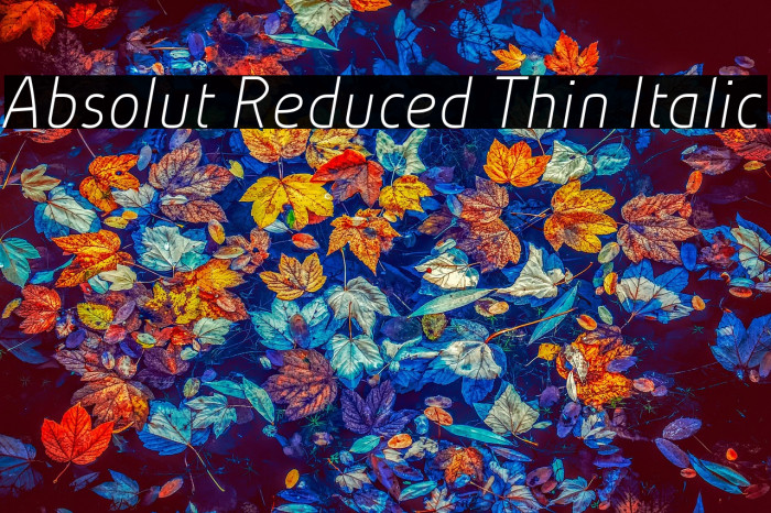 Absolut Reduced Thin Italic Example 3