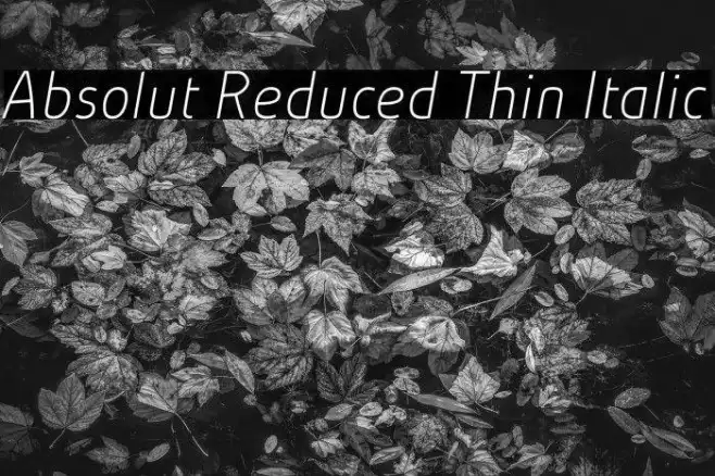 Absolut Reduced Thin Italic Example 3
