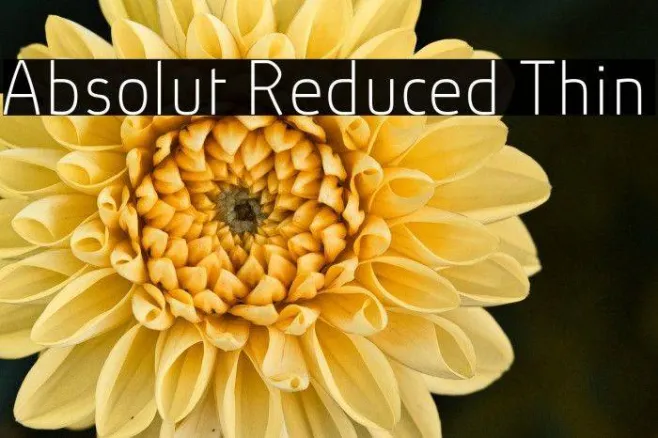 Absolut Reduced Thin Example 2
