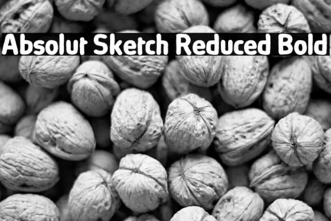 Absolut Sketch Reduced Bold Font examples
