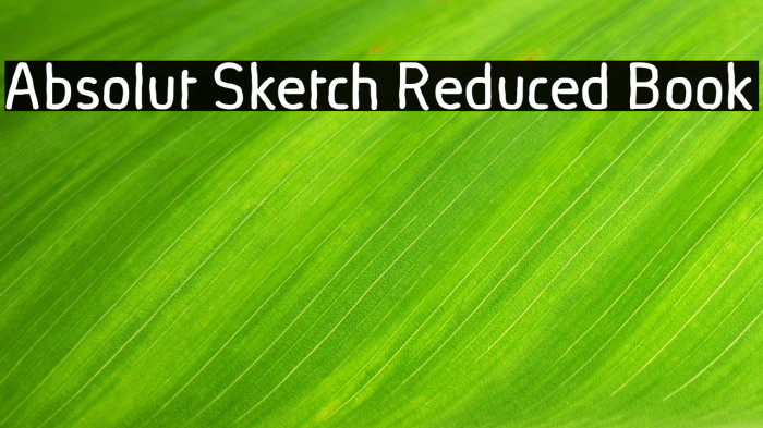 Absolut Sketch Reduced Book Example 2