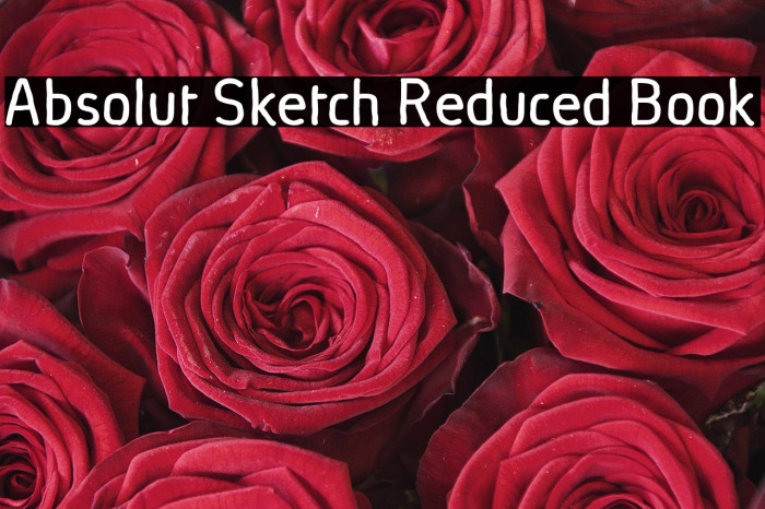 Absolut Sketch Reduced Book Example 3