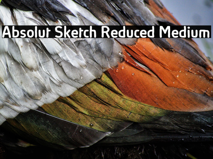 Absolut Sketch Reduced Medium Example 1