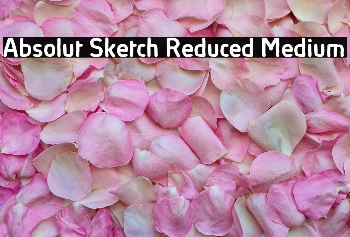 Absolut Sketch Reduced Medium Example 2