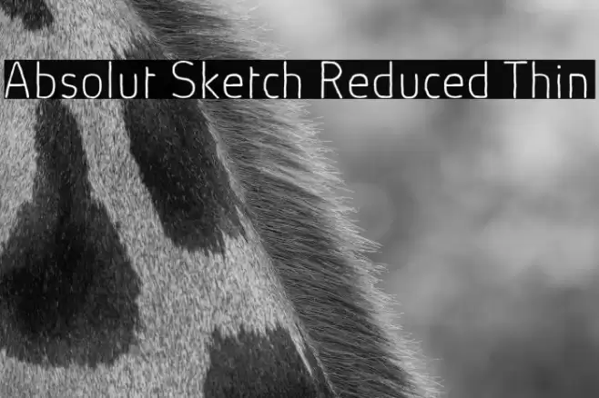 Absolut Sketch Reduced Thin Font examples