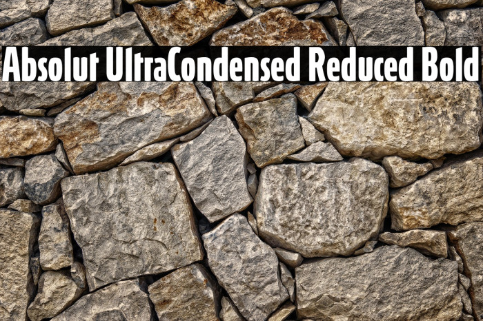 Absolut UltraCondensed Reduced Bold Example 1