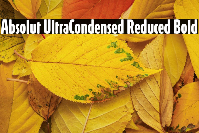 Absolut UltraCondensed Reduced Bold Example 3