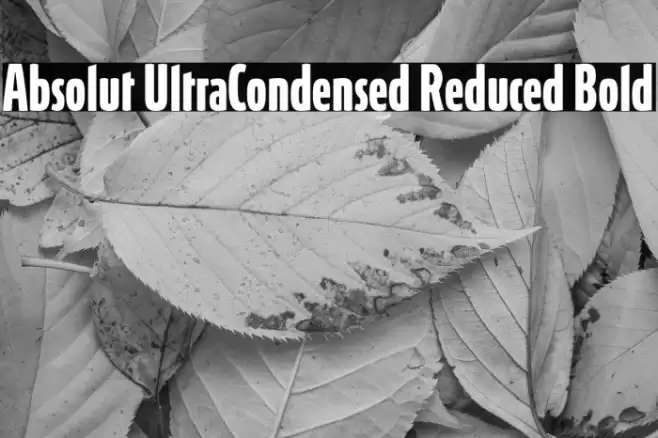 Absolut UltraCondensed Reduced Bold Font examples