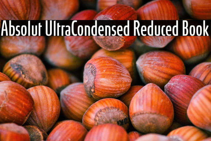 Absolut UltraCondensed Reduced Book Example 1