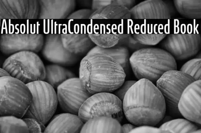Absolut UltraCondensed Reduced Book Font examples